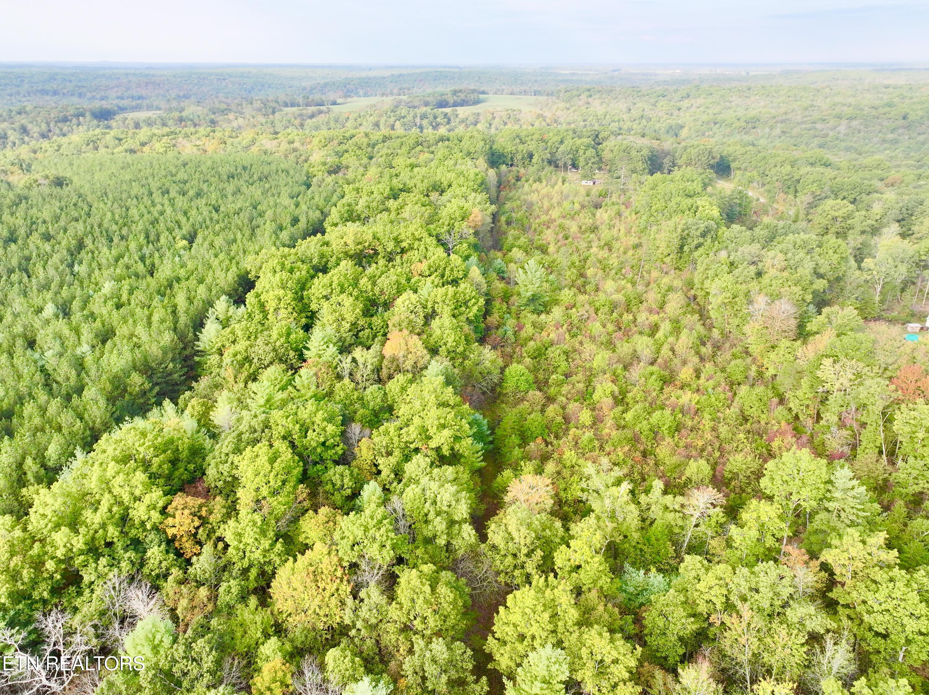 0 Wentland Drive Deer Lodge, TN 37726 - Photo 10 of 21 dji_fly_20241004_080852_0347_17280716006