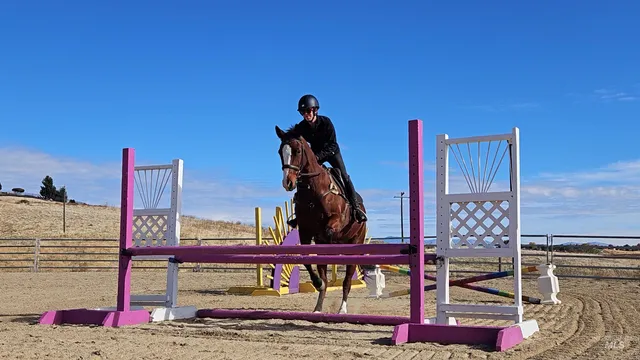 $1,800,000 | 4801 North Eagle Owl Lane, Star, ID 83669