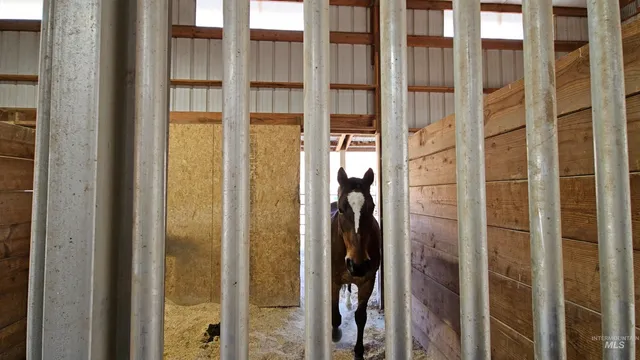 $1,800,000 | 4801 North Eagle Owl Lane, Star, ID 83669