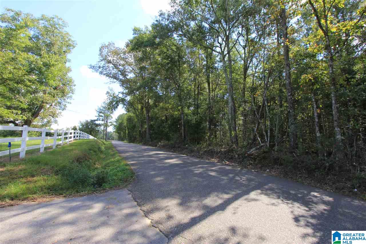 0 County Line Road West, Unit PIN# 5229 Eastaboga, AL 36260 - Photo 2 of 5