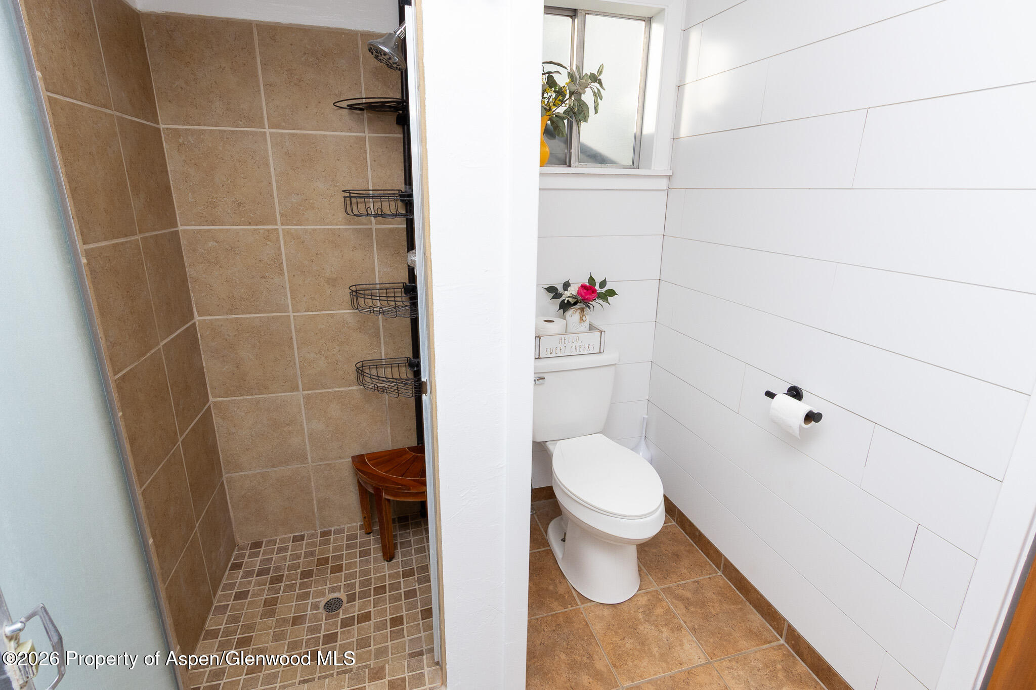 112 Main Street Meeker, CO 81641 - Photo 17 of 59 Main Floor Bath