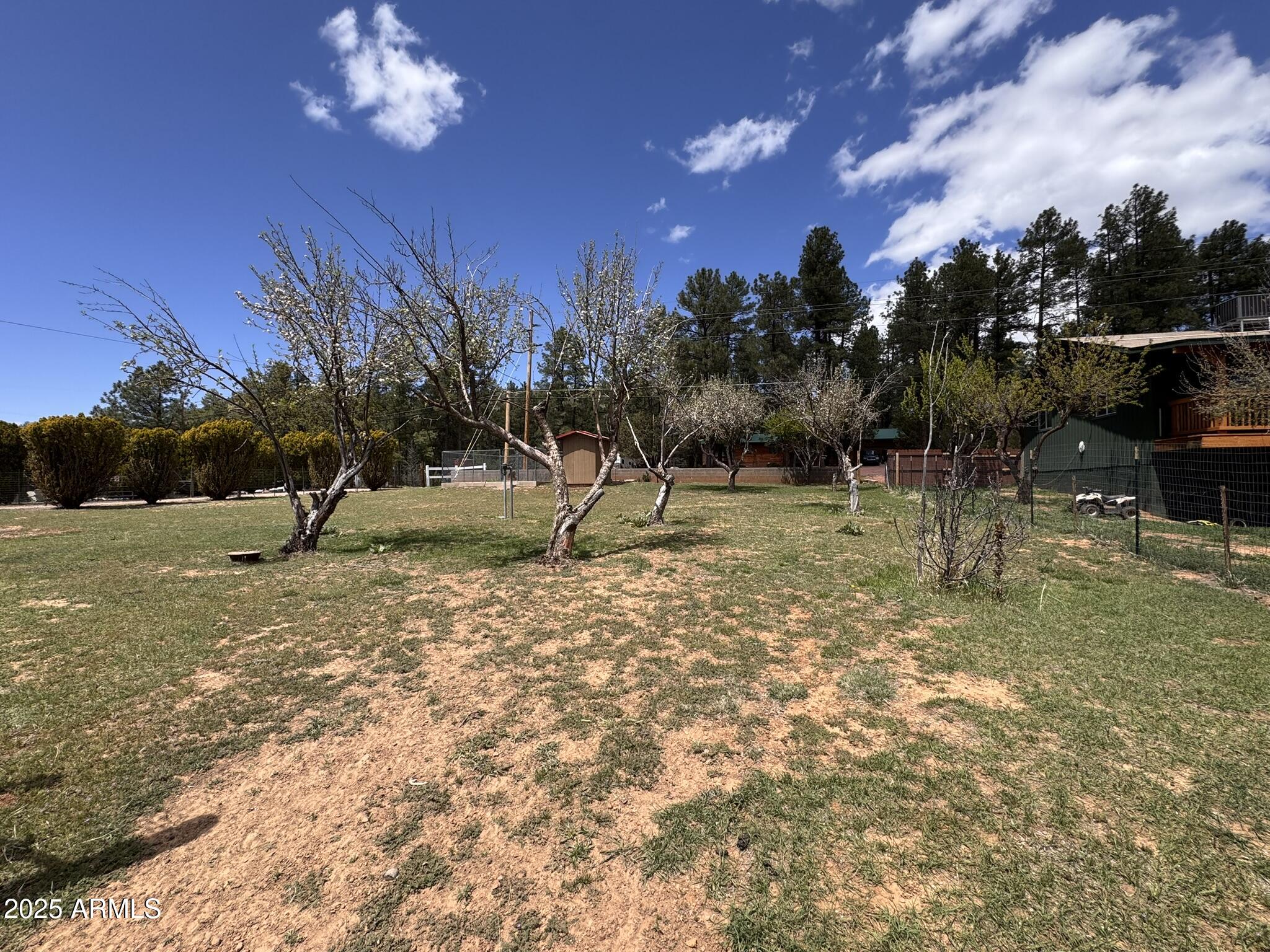 9107 Fossil Creek Road Strawberry, AZ 85544 - Photo 46 of 74 41 - Orchard