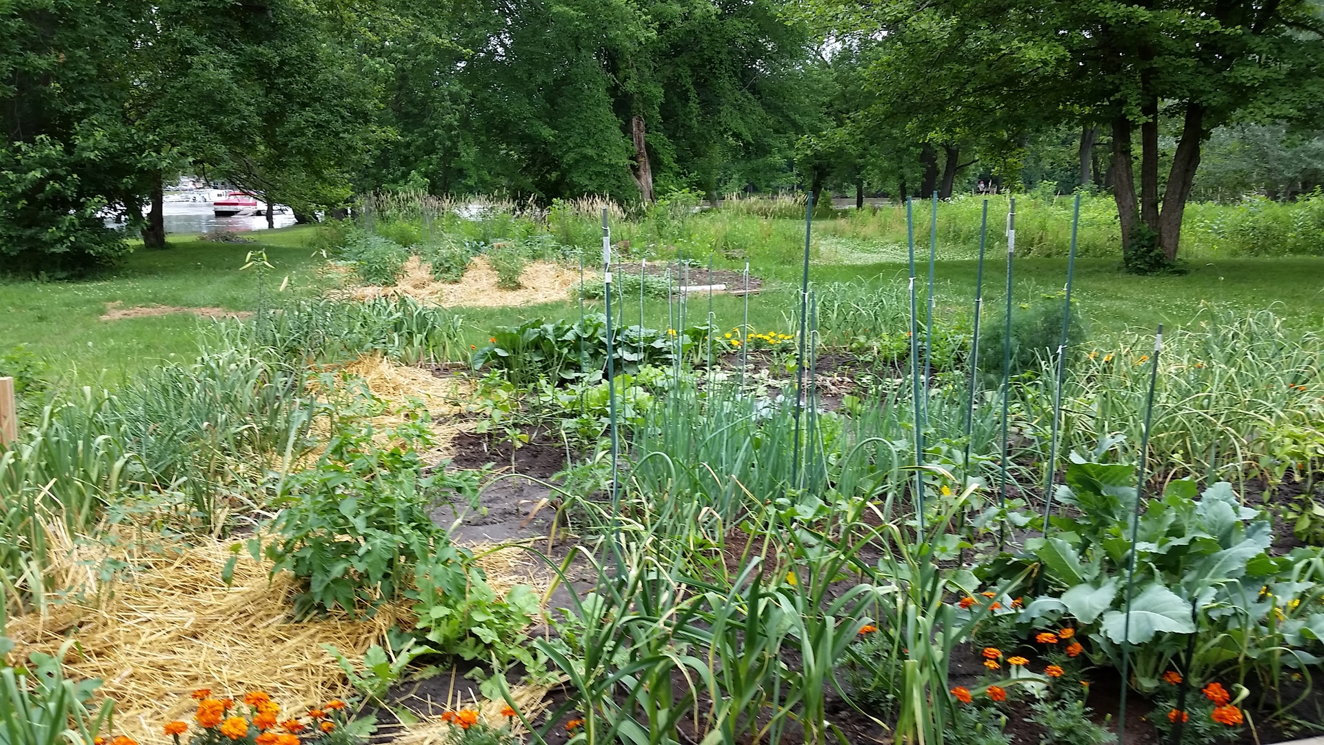 2821 A East 3500s Road Kankakee, IL 60901 - Photo 3 of 38 a view of a garden with trees