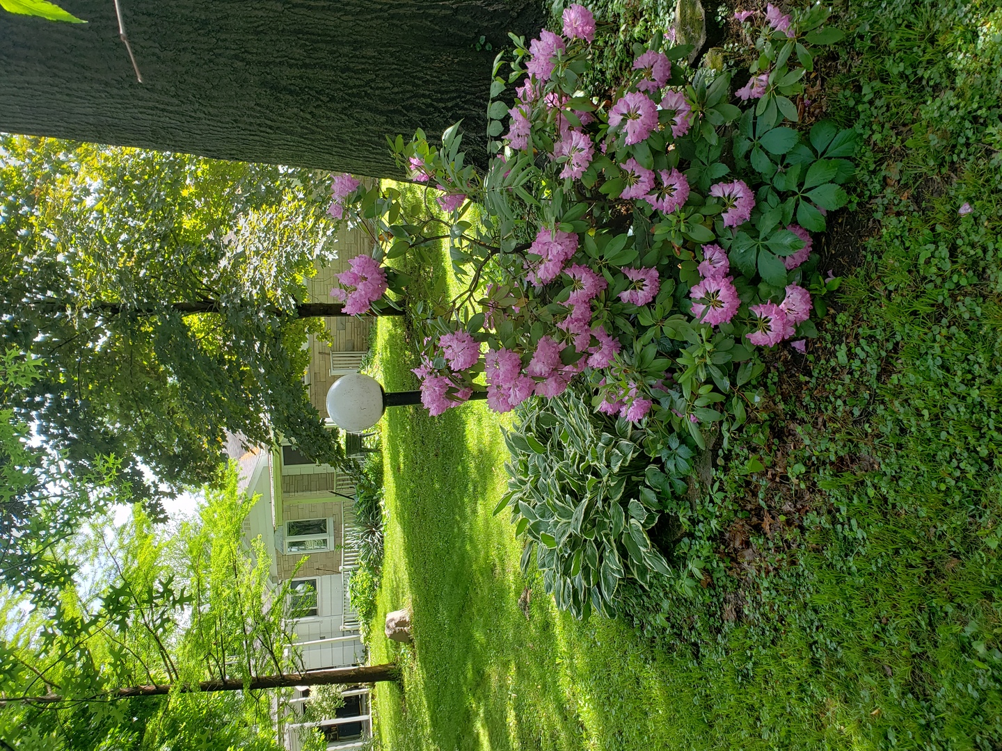 2821 A East 3500s Road Kankakee, IL 60901 - Photo 32 of 38 a view of a garden