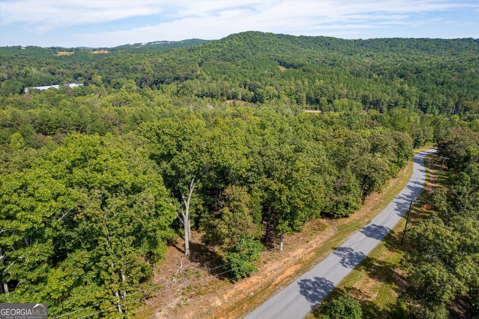 Lot 3 Blalock Mountain Road Talking Rock, GA 30175 - Photo 27 of 31 Gallery Image 27