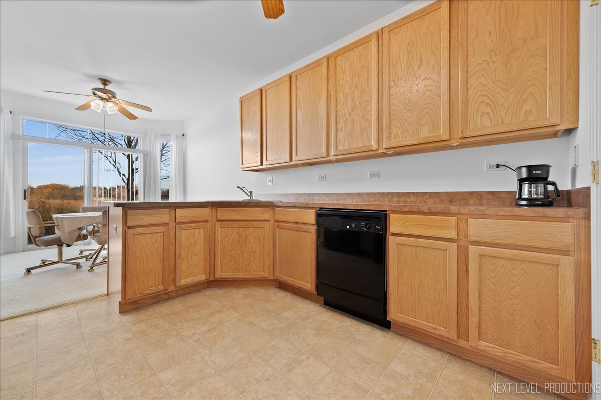 557 Springbrook Trail North Oswego, IL 60543 - Photo 8 of 25 a kitchen with a sink and cabinets