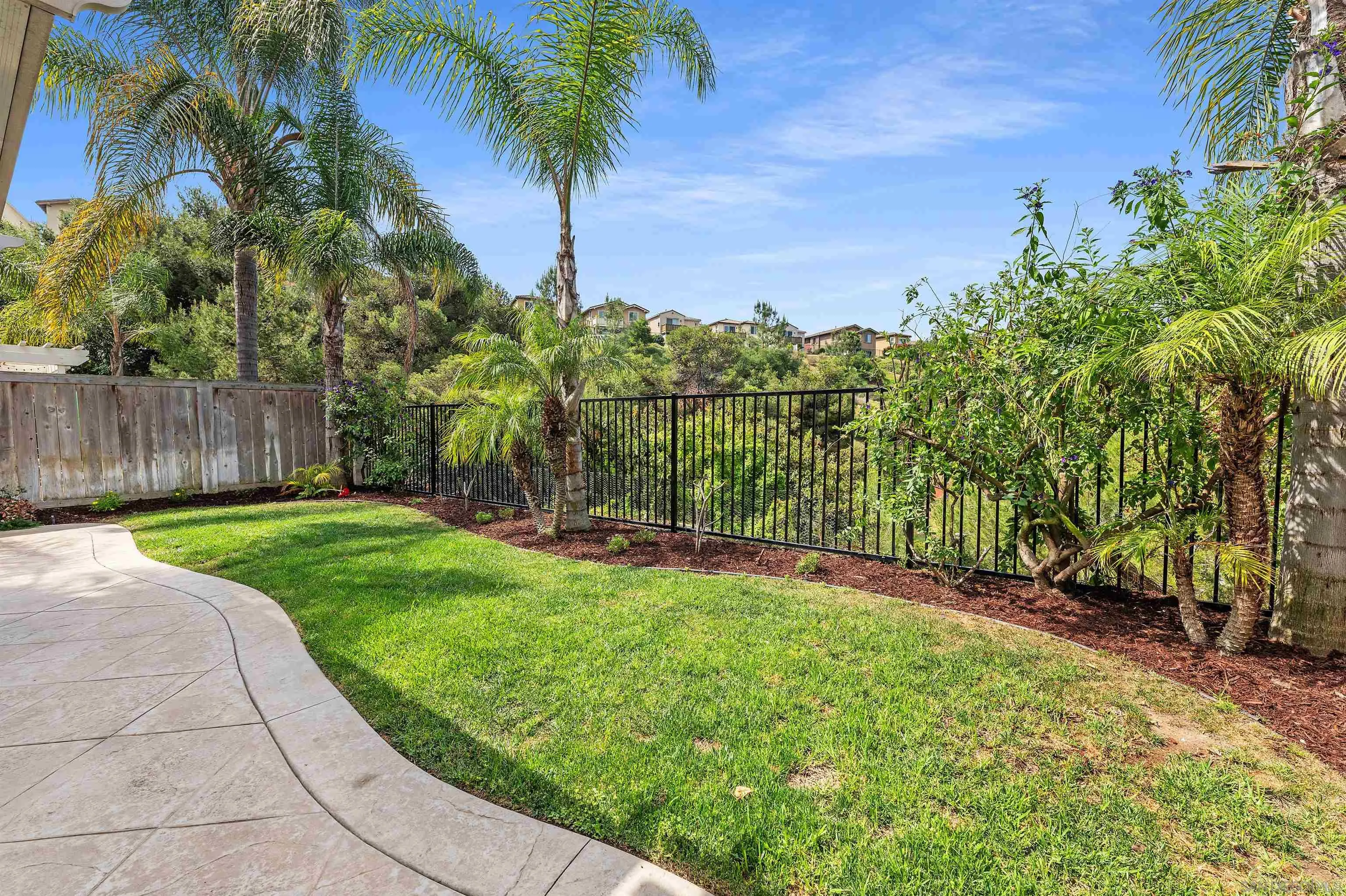 1571 Corte Daniel Oceanside, CA 92056 - Photo 24 of 44 a view of a backyard with palm trees