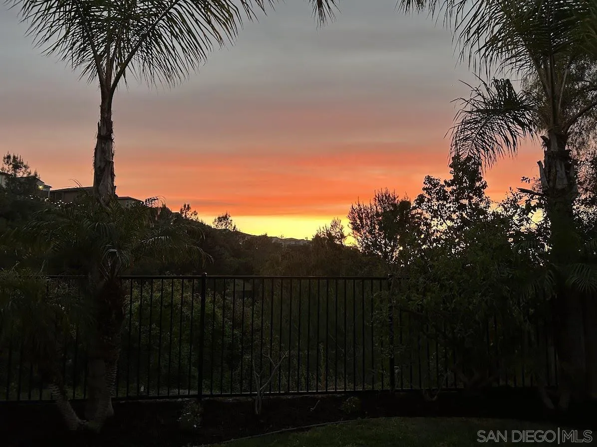 1571 Corte Daniel Oceanside, CA 92056 - Photo 44 of 44 a view of a palm and a palm tree
