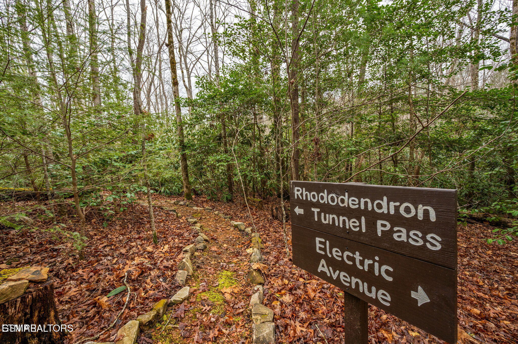 1903 Waters End Road Walland, TN 37886 - Photo 48 of 59 65