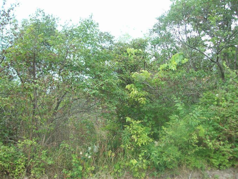 Unknown Frazee Road Somerville, OH 45064 - Photo 1 of 1 Gallery Image 1