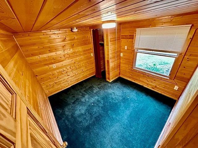 31336-31338 Rasmussen Road Pequot Lakes, MN 56472 - Photo 46 of 54
