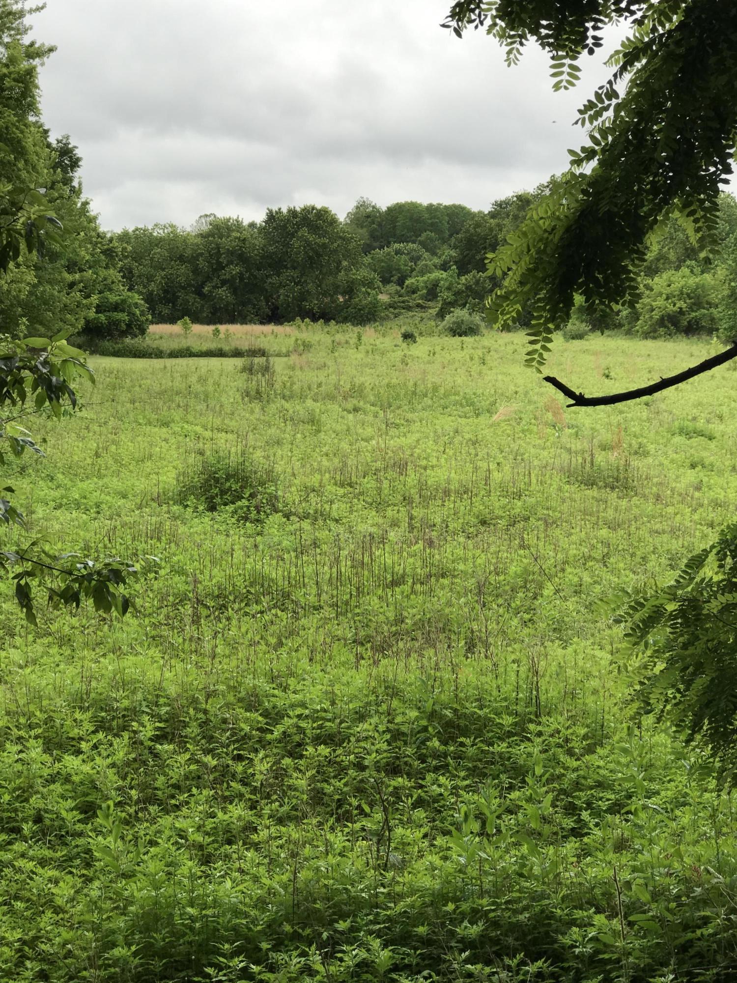 177 Stillwell Road Holmdel, NJ 07733 - Photo 2 of 2 a view of a green field with lots of bushes