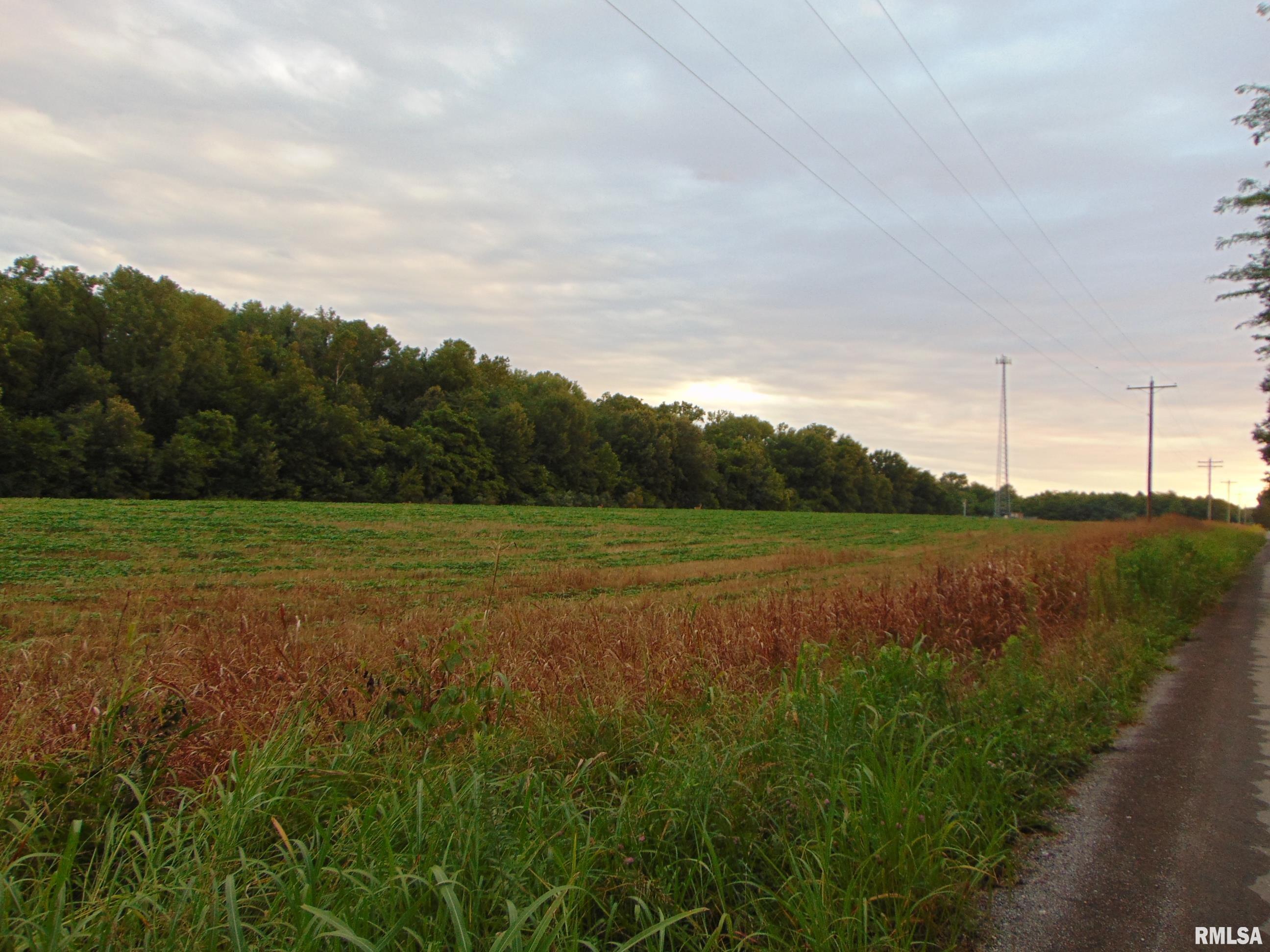 222 House Road Elkville, IL 62932 - Photo 2 of 6 Gallery Image 2
