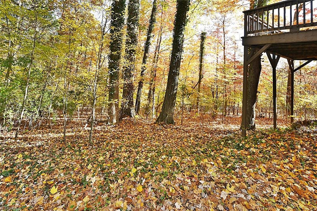 3390 Wide Country Road Pfafftown, NC 27040 - Photo 43 of 50 Gallery Image 43
