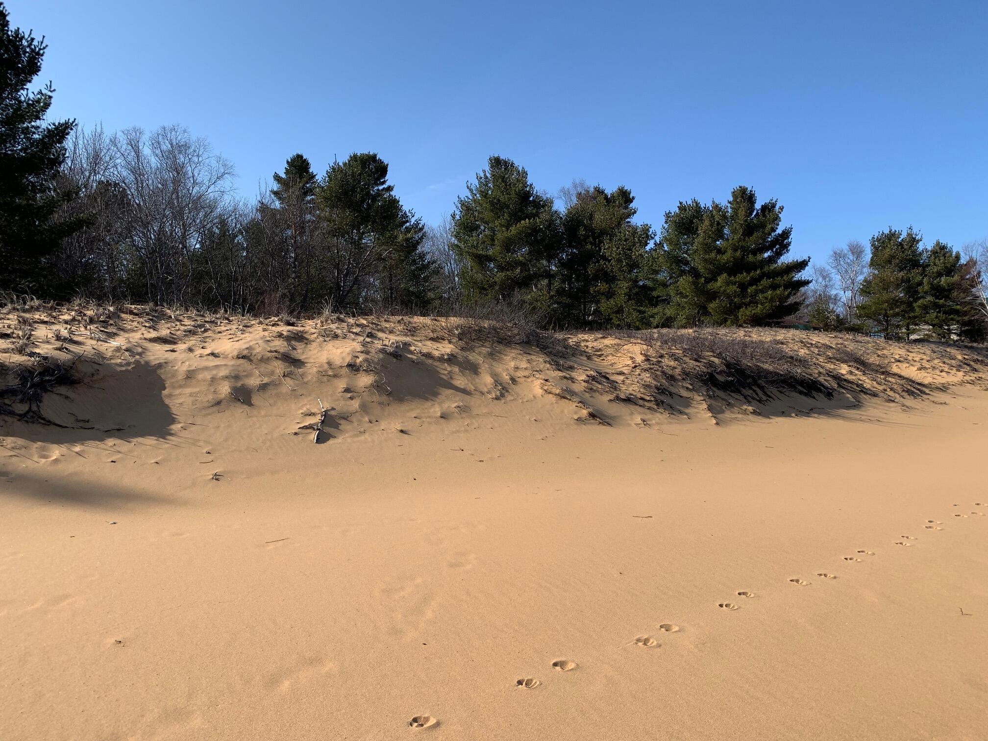 14920 North Whitefish Point Road Paradise, MI 49768 - Photo 5 of 17 Gallery Image 5
