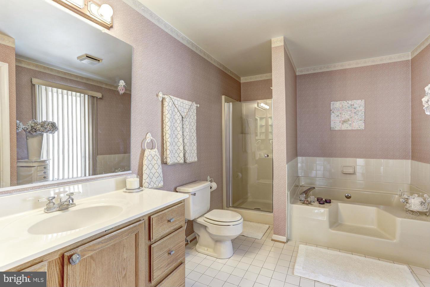 1090 Long Valley Road Westminster, MD 21158 - Photo 20 of 30 Master Bathroom w/ Jet Tub