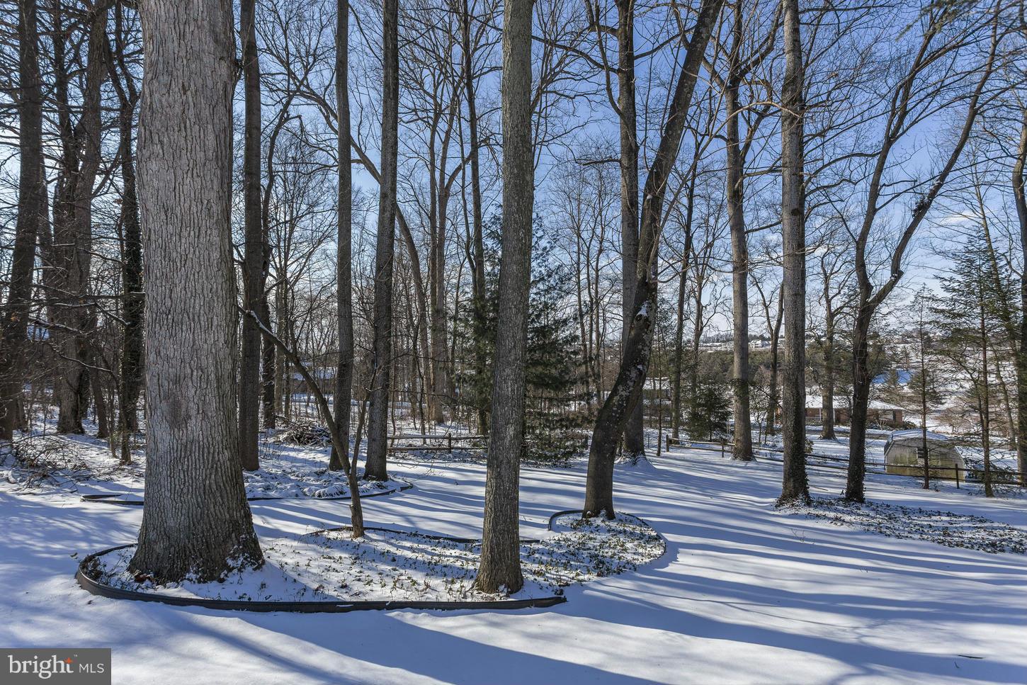 1090 Long Valley Road Westminster, MD 21158 - Photo 28 of 30 Tree-Lined Backyard