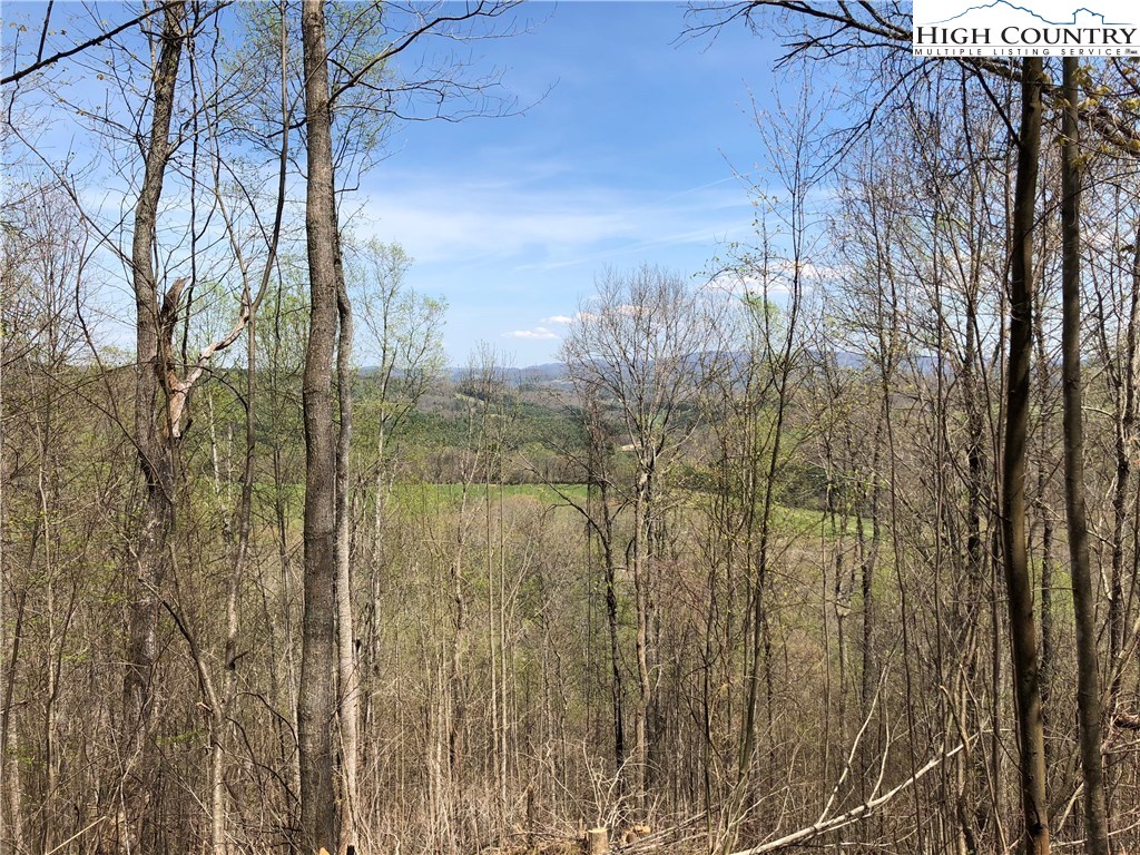 Quail Hollow Road Crumpler, NC 28617 - Photo 1 of 18 Gallery Image 1