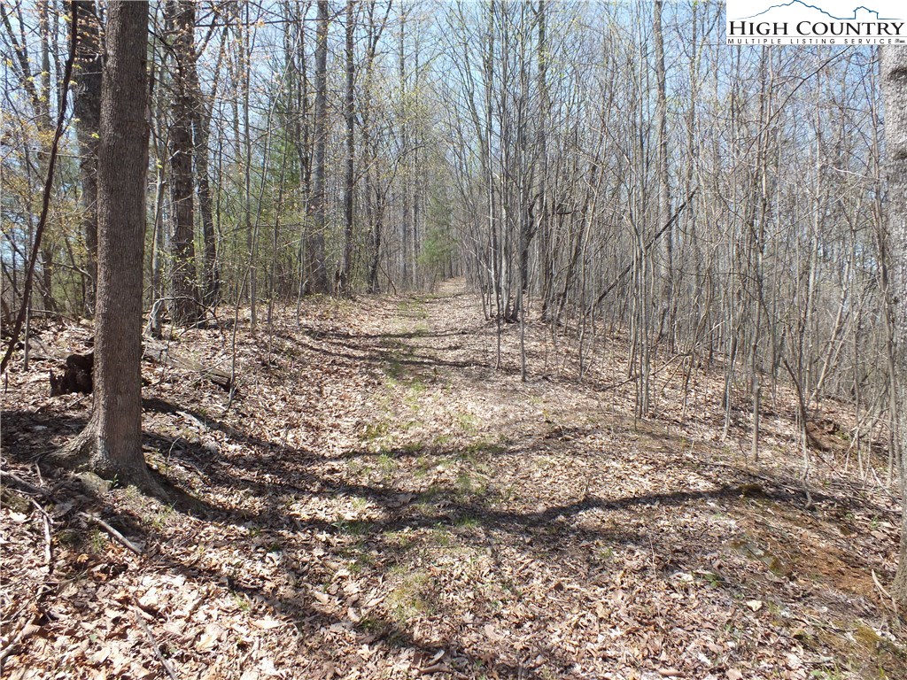 Quail Hollow Road Crumpler, NC 28617 - Photo 11 of 18 Gallery Image 11