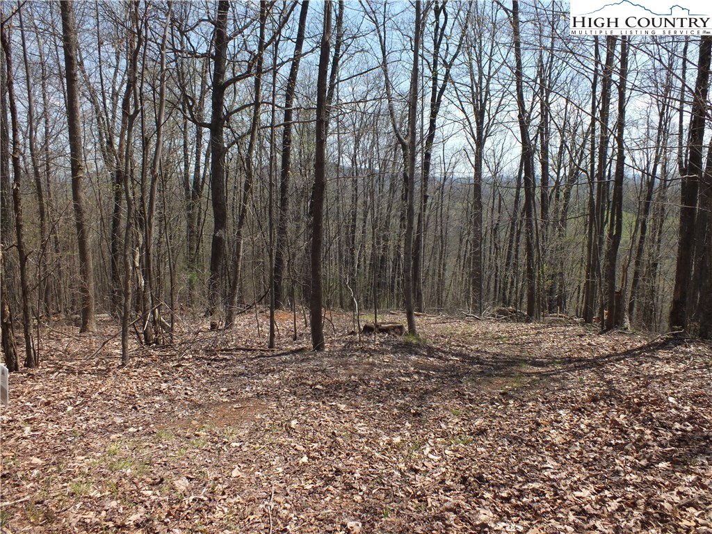 Quail Hollow Road Crumpler, NC 28617 - Photo 12 of 18 Gallery Image 12