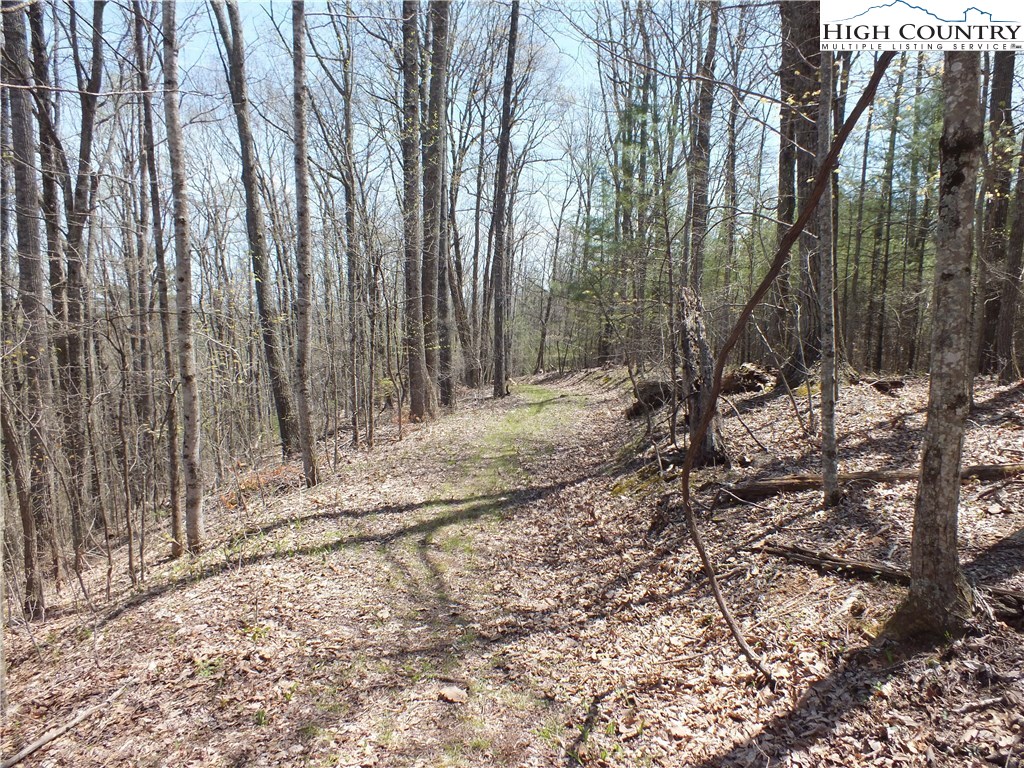 Quail Hollow Road Crumpler, NC 28617 - Photo 13 of 18 Gallery Image 13