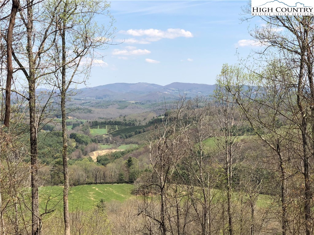 Quail Hollow Road Crumpler, NC 28617 - Photo 2 of 18 Gallery Image 2
