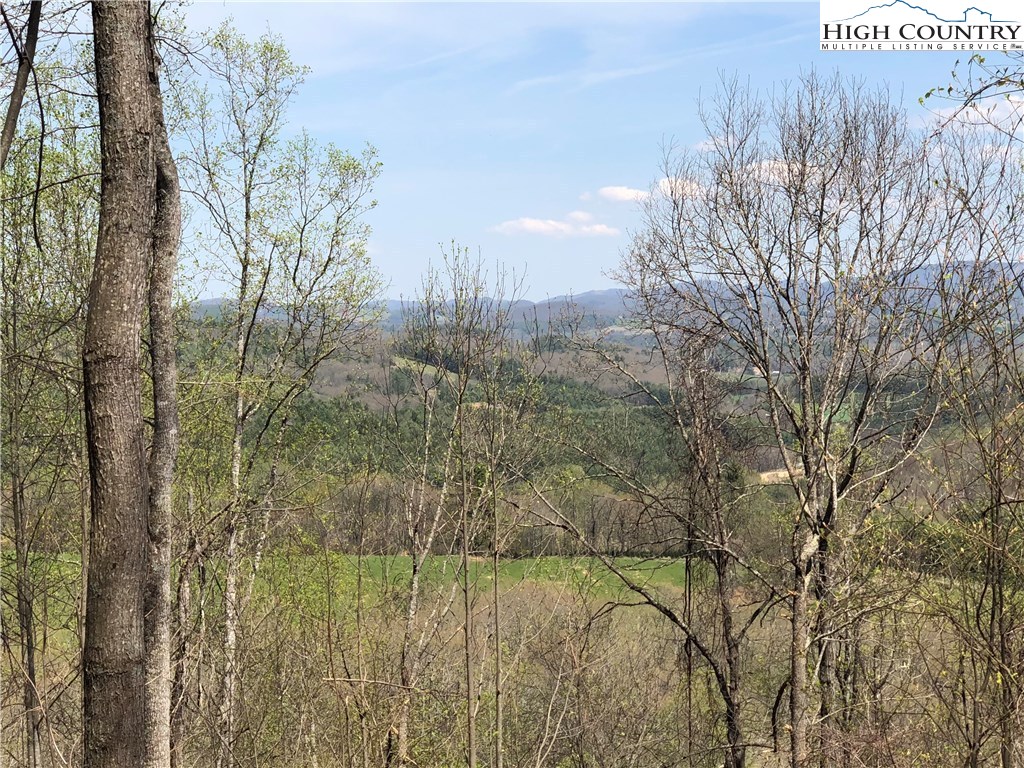 Quail Hollow Road Crumpler, NC 28617 - Photo 3 of 18 Gallery Image 3