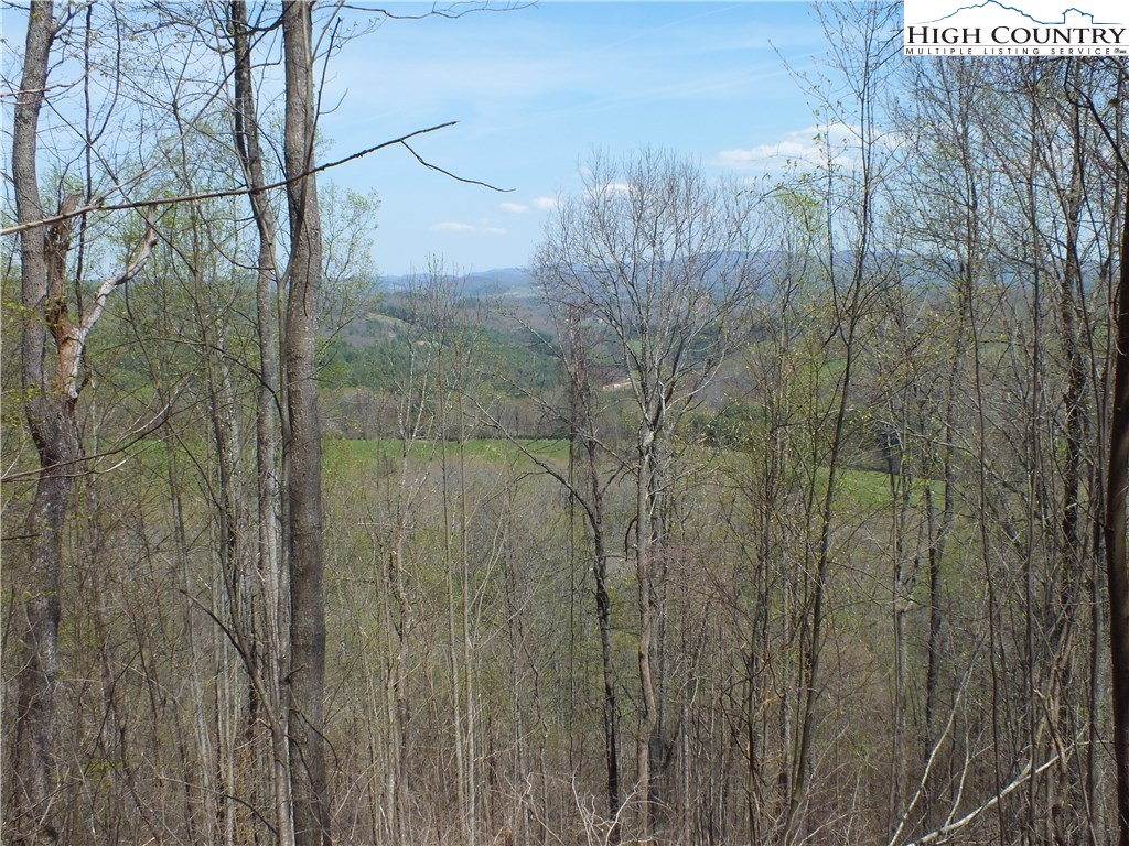Quail Hollow Road Crumpler, NC 28617 - Photo 8 of 18 Gallery Image 8