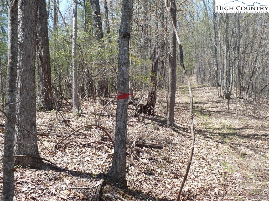 Quail Hollow Road Crumpler, NC 28617 - Photo 9 of 18 Gallery Image 9