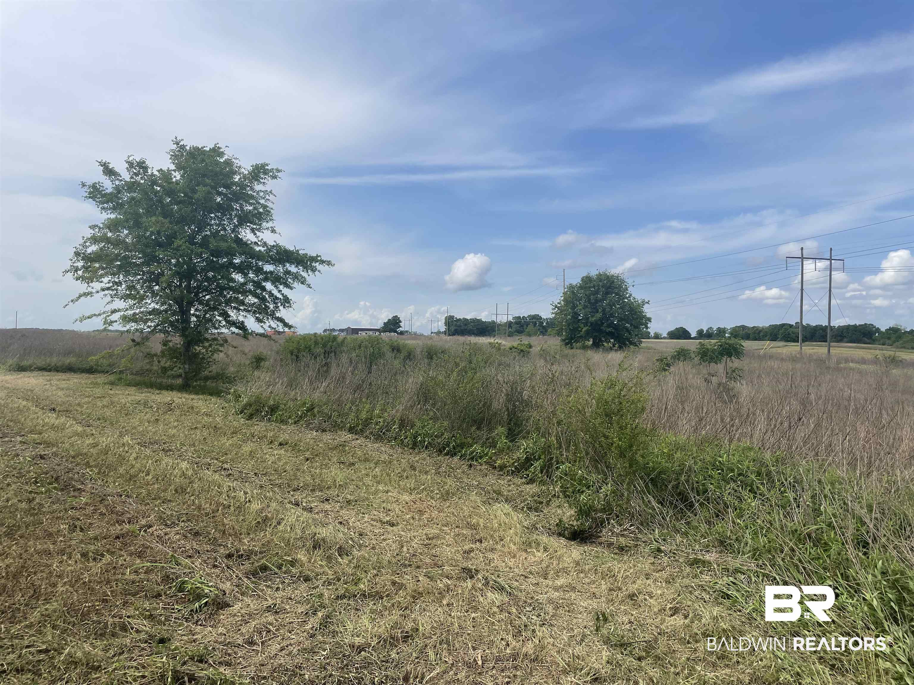 9765 Kaiser Drive Foley, AL 36535 - Photo 2 of 15