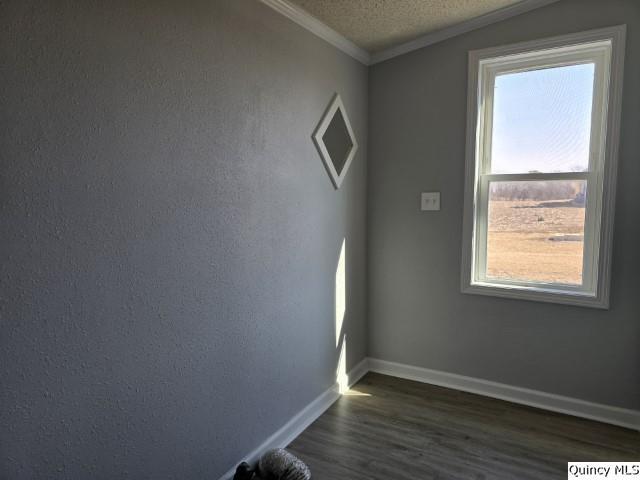 1025 Augusta Road Carthage, IL 62321 - Photo 10 of 25 an empty room with wooden floor and windows