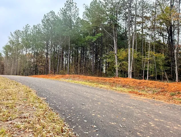 a view of swimming pool with palm trees