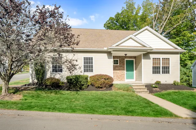 a backyard of a house with potted plants and large tree