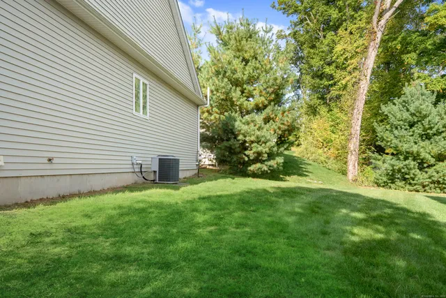 a backyard of a house with plants and large tree