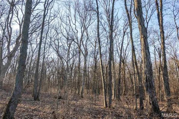 $1 | 0 Highway B Highway, Elsberry, MO 63343