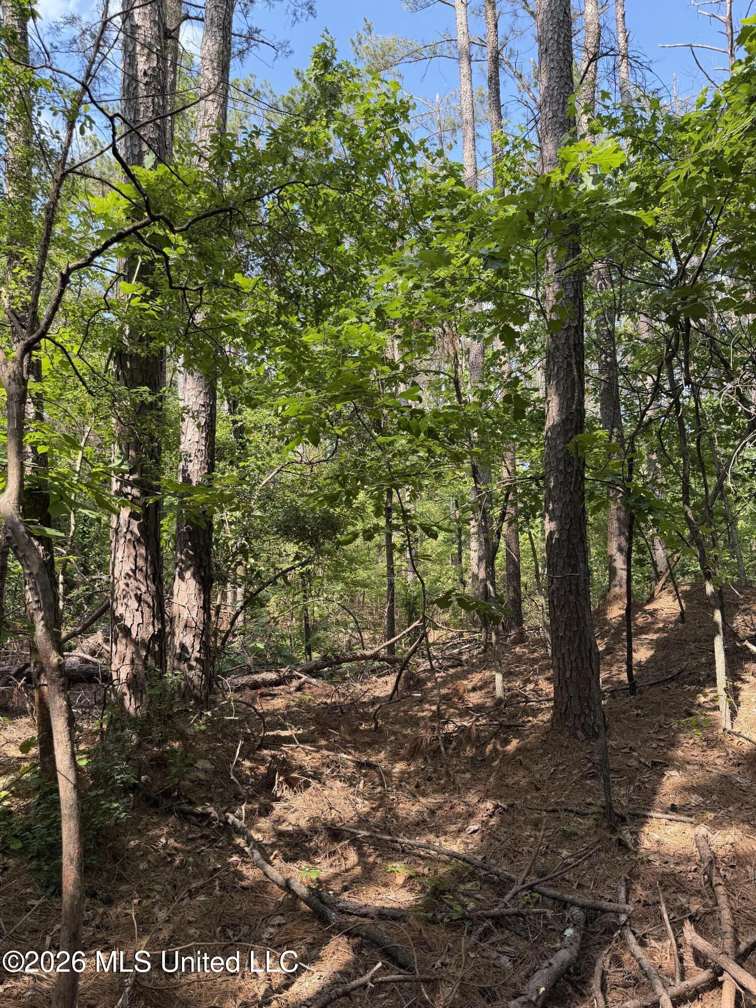 80 Co Road Como, MS 38619 - Photo 8 of 10 IMG_0097