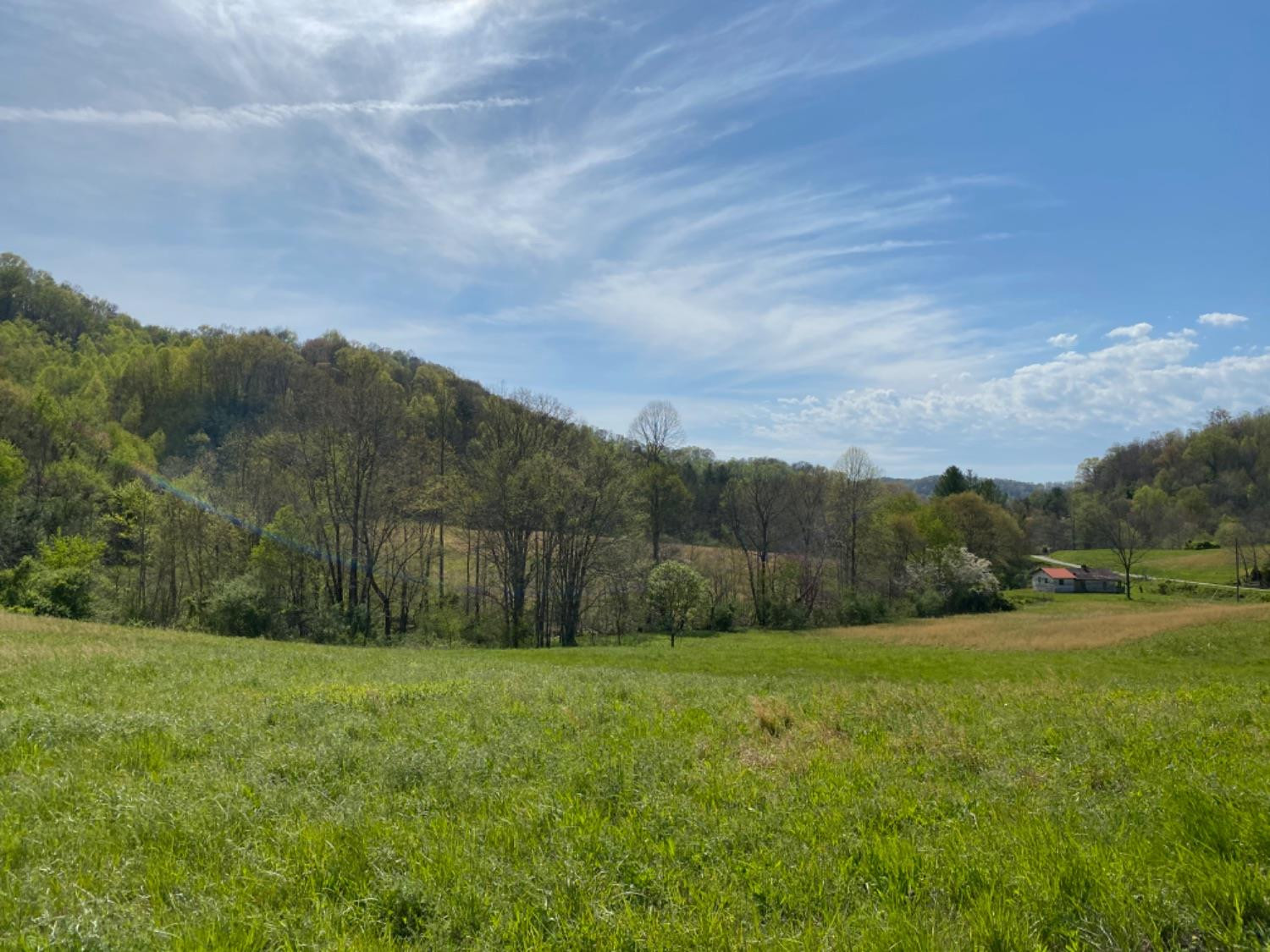 9999 Powell Branch Road Bimble, KY 40915 - Photo 7 of 15 Photo 7
