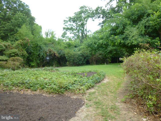 2225 Forest Glen Road Silver Spring, MD 20910 - Photo 29 of 30 a view of backyard with green space