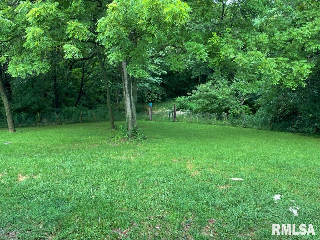 8434 Thomas Road Rochester, IL 62563 - Photo 3 of 17 Gallery Image 3