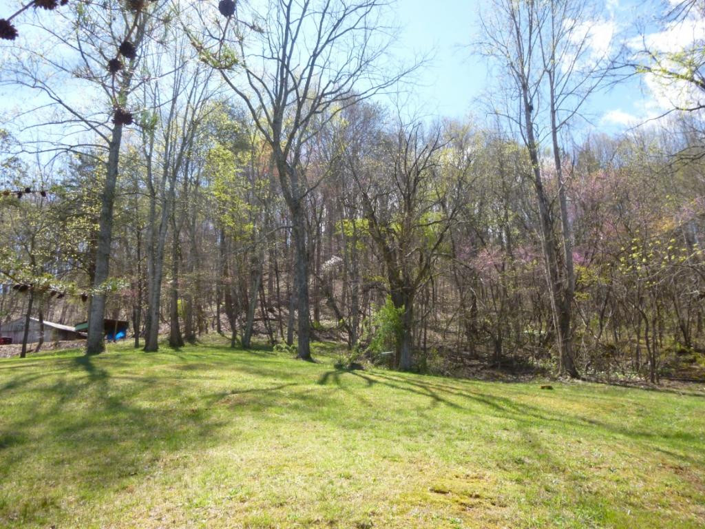 321 Marble Hall Road Rogersville, TN 37857 - Photo 6 of 31 Photo 6