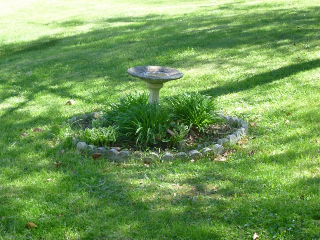 321 Marble Hall Road Rogersville, TN 37857 - Photo 10 of 31 Pretty Bird Bath
