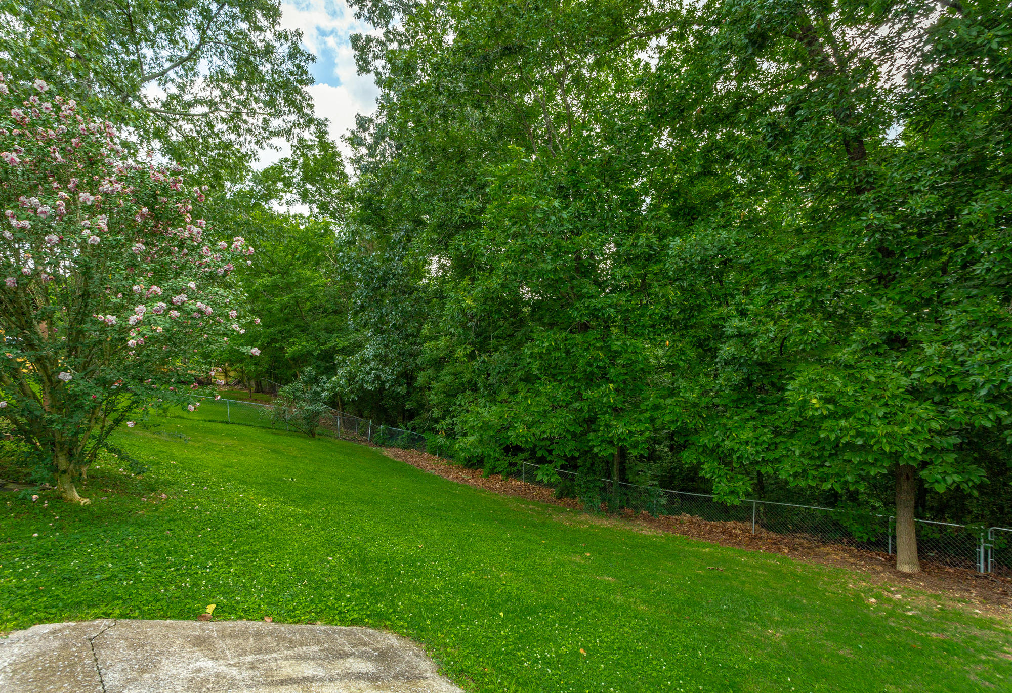 359 Bookout Road Ringgold, GA 30736 - Photo 35 of 44 Back Yard