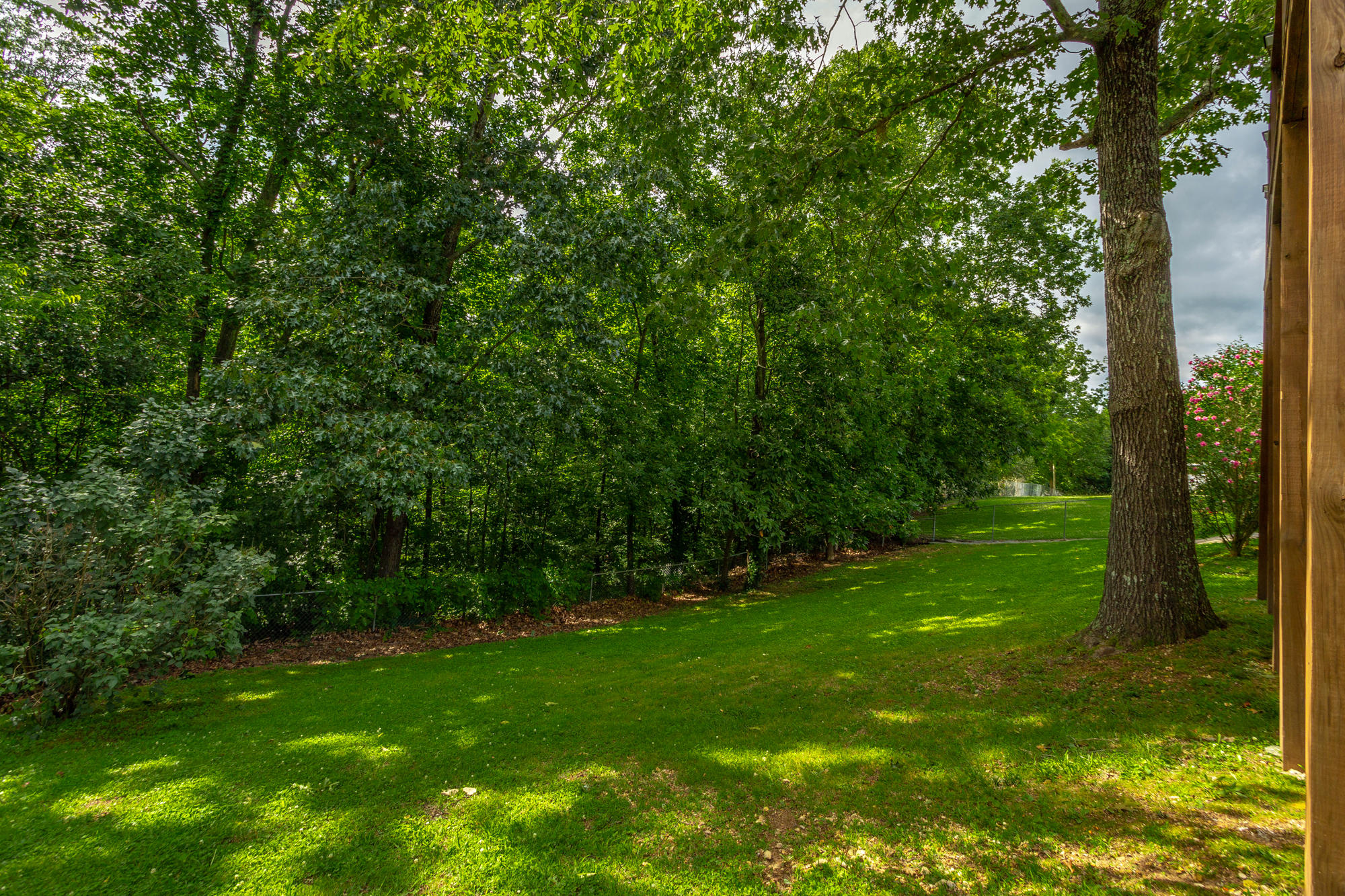 359 Bookout Road Ringgold, GA 30736 - Photo 36 of 44 Back Yard