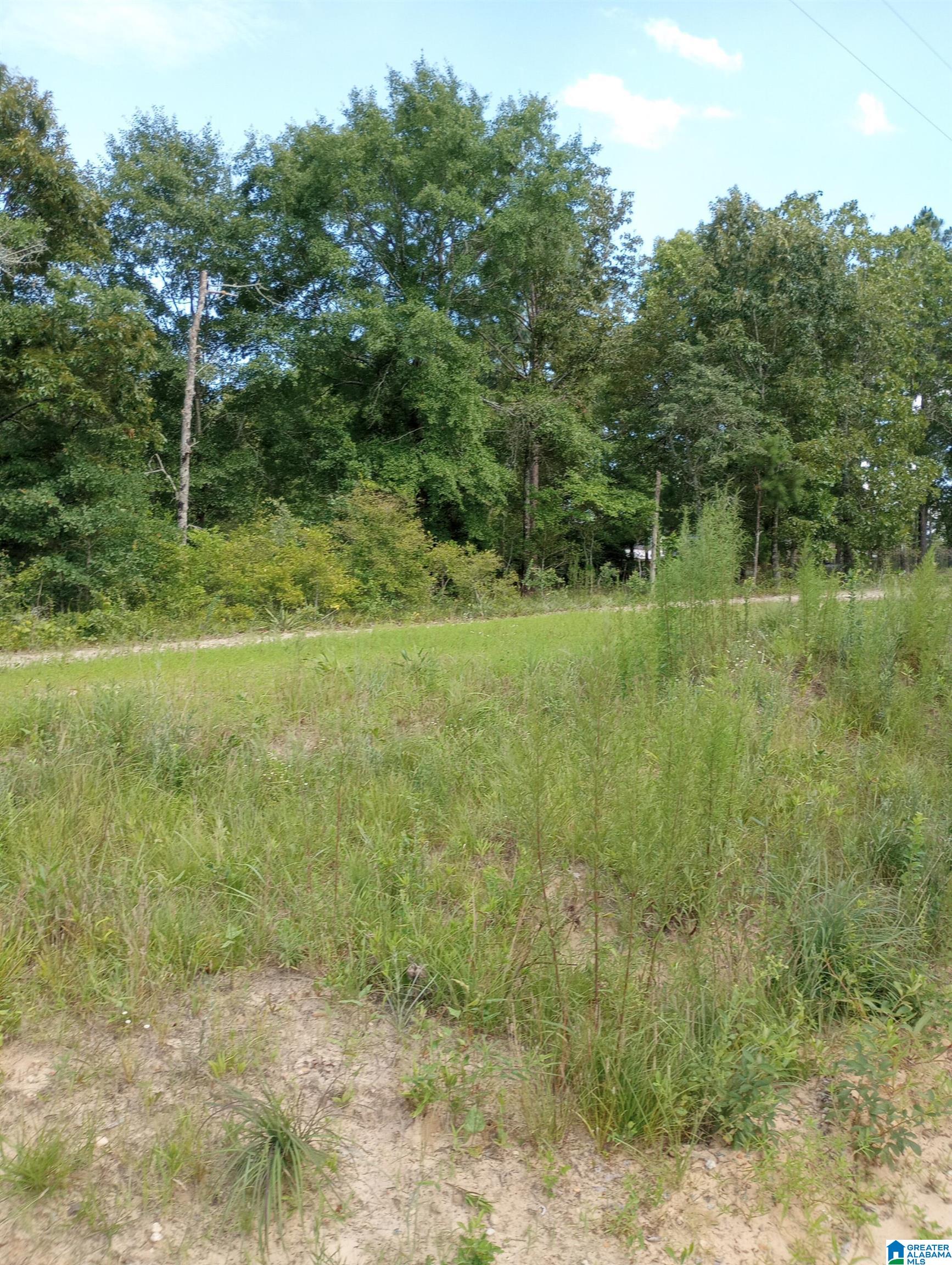 195 Hyram Road Seale, AL 36875 - Photo 2 of 4
