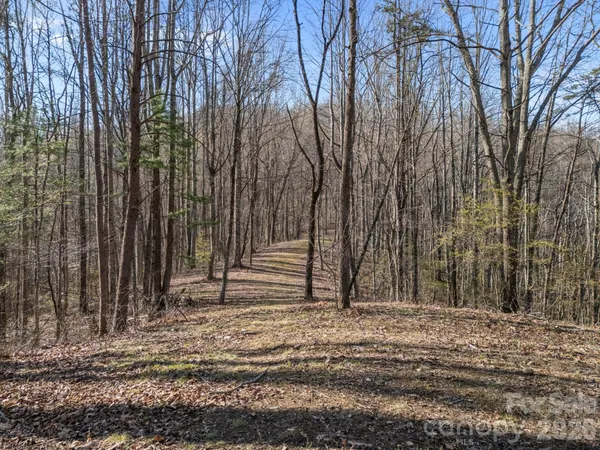$425,000 | 9999 Hidden Cove Road, Leicester, NC 28748