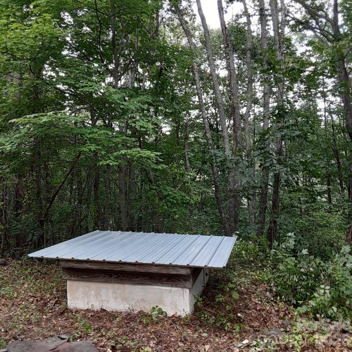 9999 Hidden Cove Road Leicester, NC 28748 - Photo 2 of 3