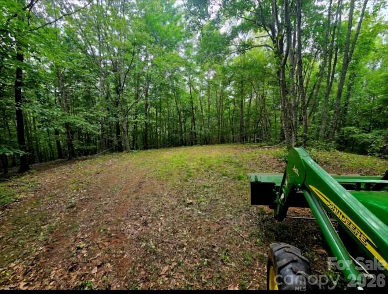 9999 Hidden Cove Road Leicester, NC 28748 - Photo 3 of 3