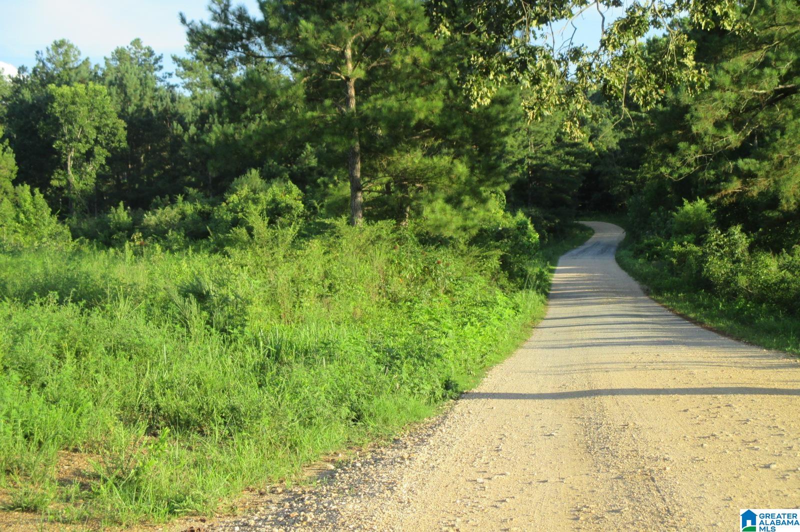 6151 Highway 27 Springville Al Springville, AL 35146 - Photo 15 of 27