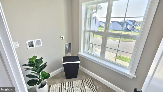 a view of a living room and a potted plant