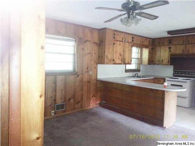 7336 Old Dixiana Road Pinson, AL 35126 - Photo 10 of 14